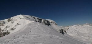 Read more about the article Srednji Vrh in Batognica