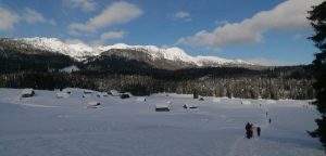 Read more about the article Debela peč [Na koncu pa “samo” Mrežce]