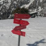 IMG_20210326_104613
