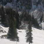 IMG_20210326_111123
