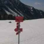 IMG_20210326_111329