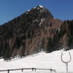 IMG_20210326_112623