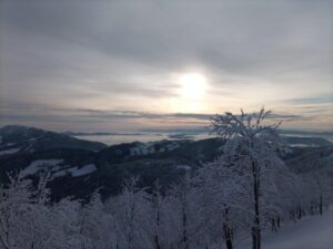 Read more about the article Porezen [Turna smuka]