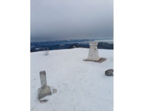 Read more about the article Turna smuka z Blegoša